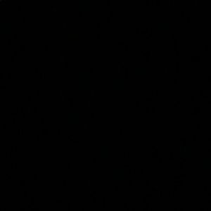 Meet your Posher, Max